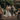 Wedding ceremony outdoors with a bride and groom walking down the aisle.