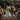 Wedding ceremony outdoors with a bride and groom walking down the aisle.